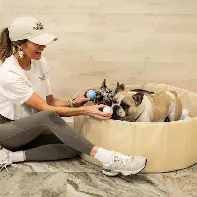 Staycation New Clients